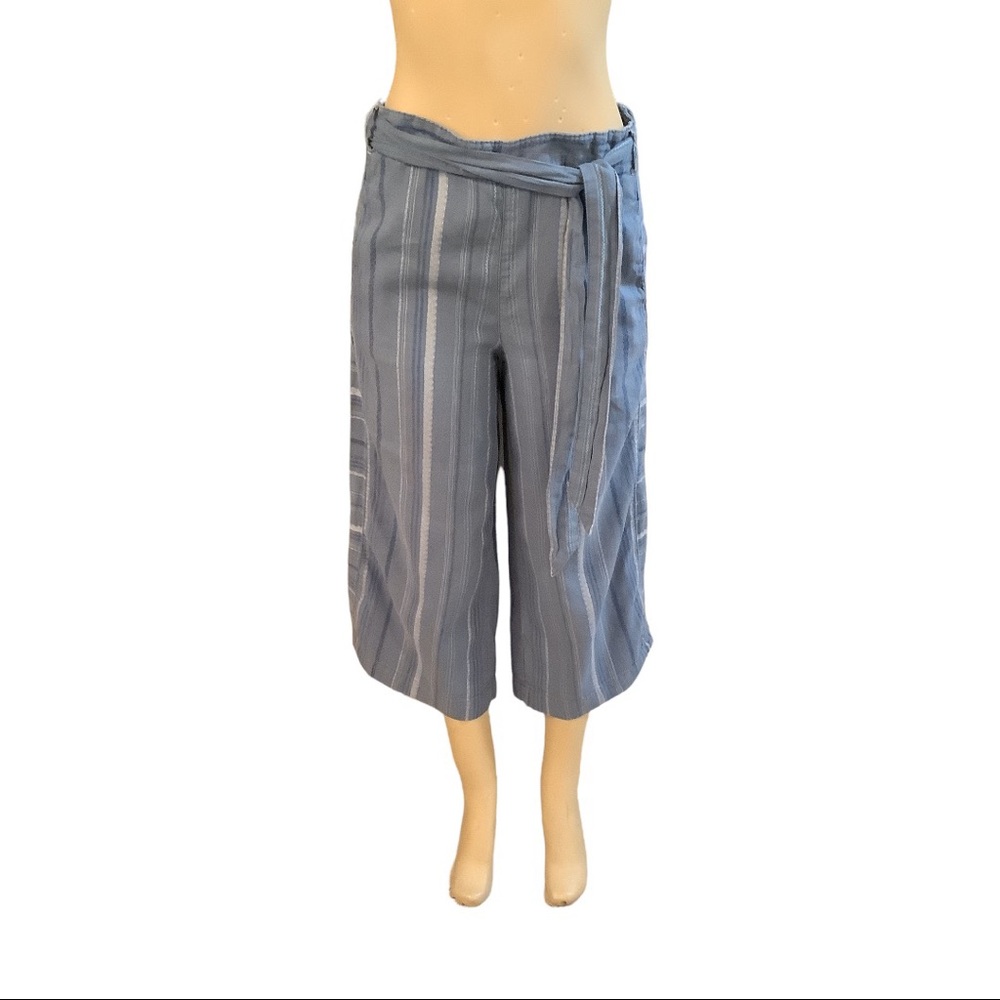 Anthropologie Blue Striped Capris